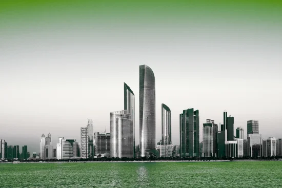 Consultant advising on various legal structures and business setup options in Abu Dhabi Free Zones.