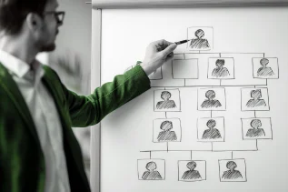 Consulting on optimal company structure options, including Mainland and Free Zone choices.