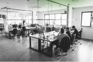 Consultant assisting with office space lease agreements and commercial property arrangements.