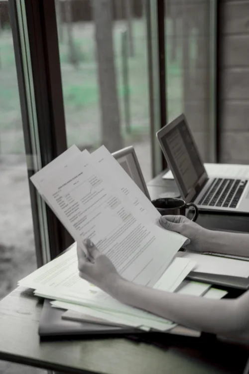 Consultant assisting with official Sharjah Free Zone documents and paperwork for business incorporation.