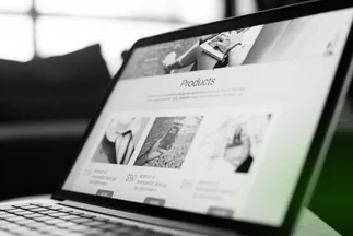 Close-up of a laptop screen displaying the "Products" section of an e-commerce website with images and prices.