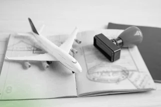 Icon for full-spectrum Immigration Services, including visa application, residency, and permit processing.