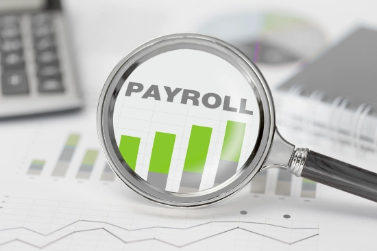 Visual defining What Are Payroll Services and their scope within business operations.
